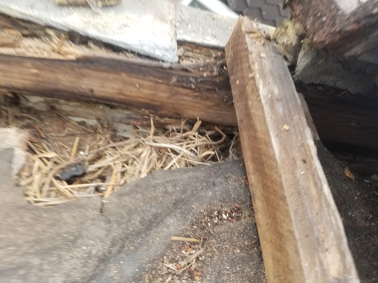 Roof repair by Top Level Roofing & Building Solutions